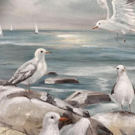 Meeresjuwel-coralie *